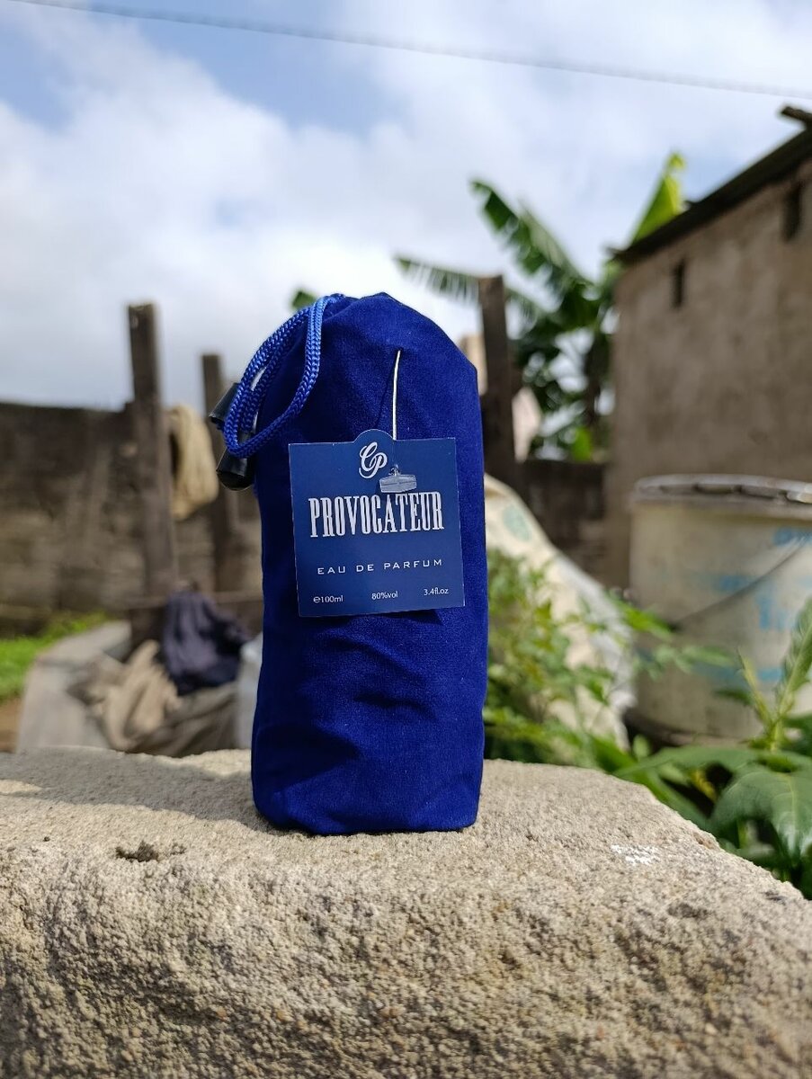 provocateurs/ provocatrices