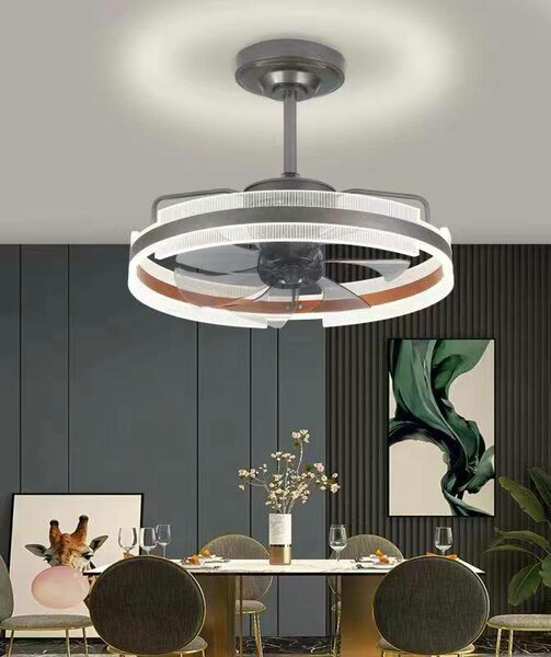 CEILING LIGHT WITH FAN