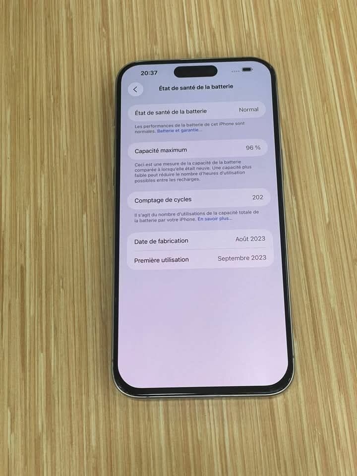iPhone Pro 256 Go Gris