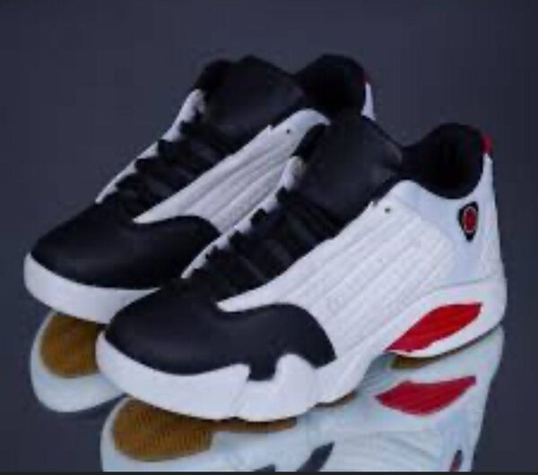 Air Jordan 14 original