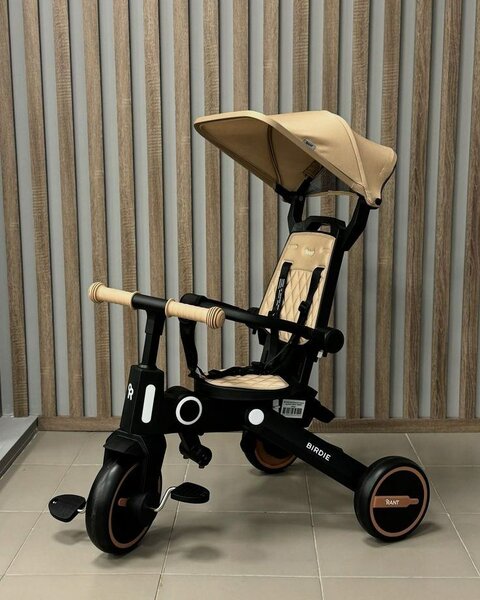 Tricycle évolutif enfants 5-en-1