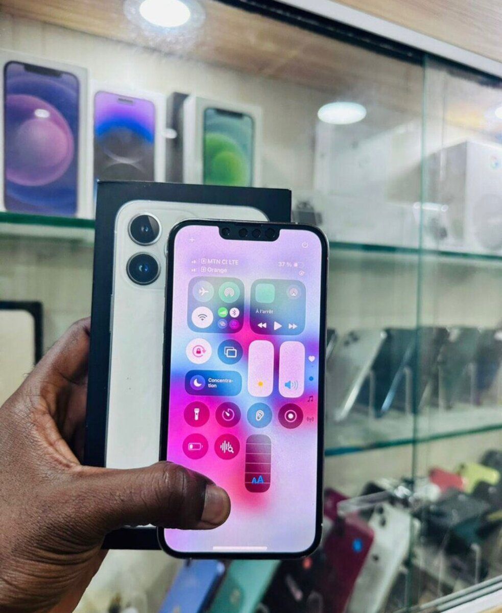 iPhone 13 Pro Max 256GB