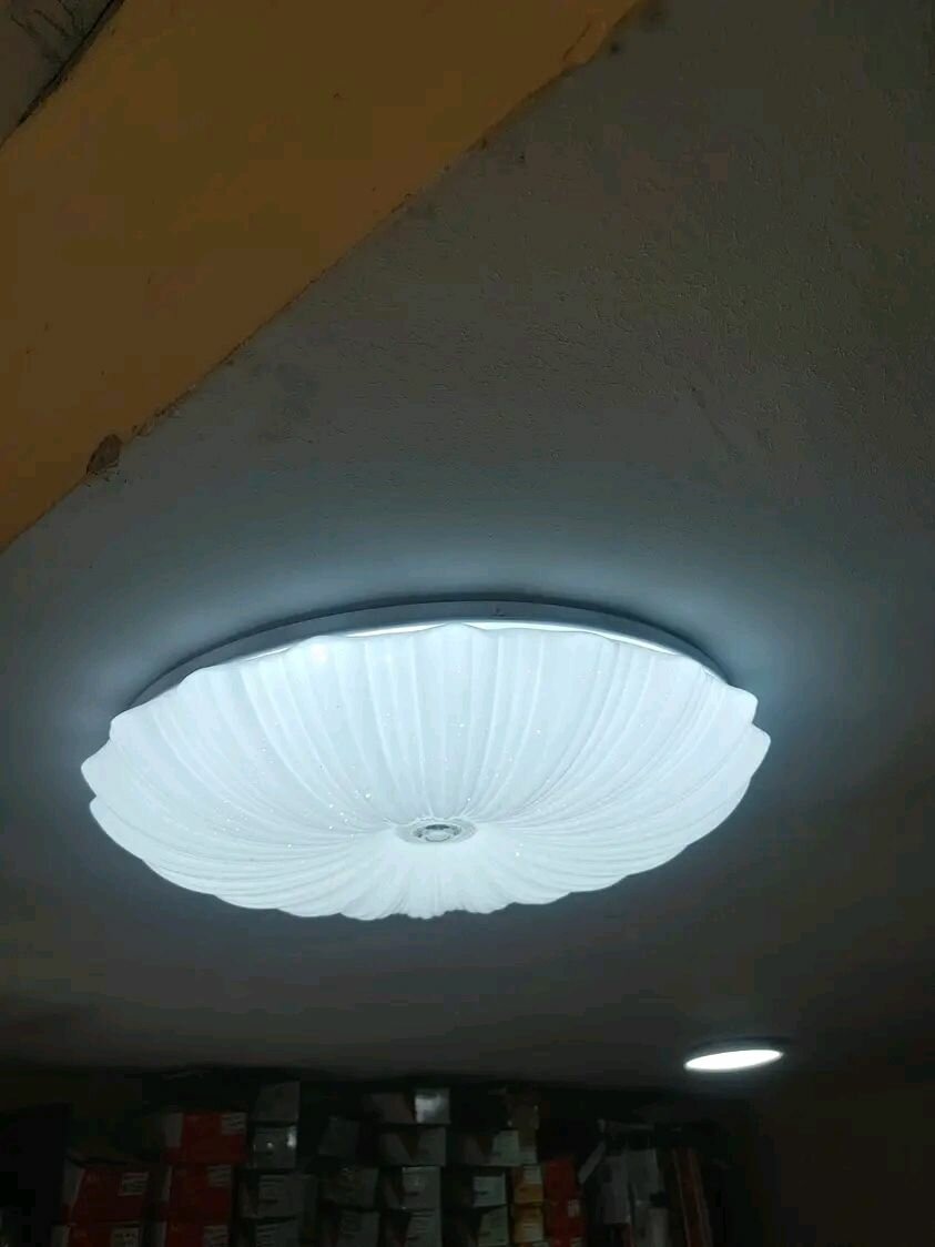 Elegant LED Ceiling Light