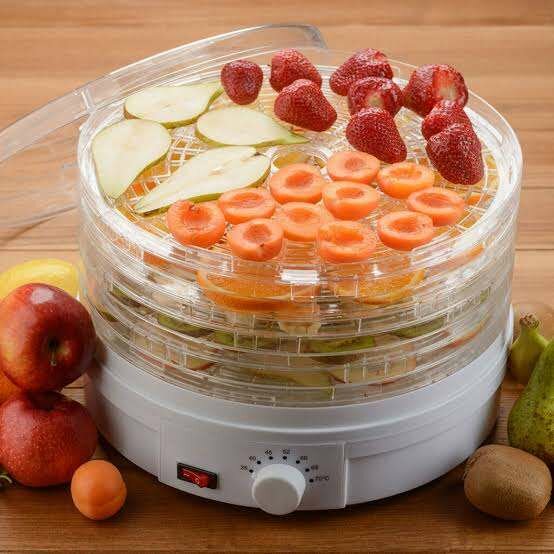 Electric Food Dehydrator