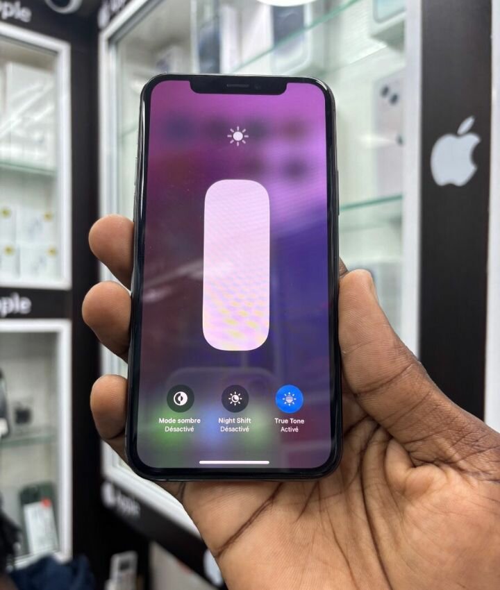 iPhone 12 Pro Max 256GB Gris
