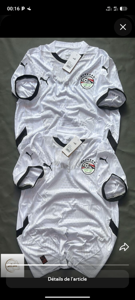 Maillot Équipe Égypte Puma