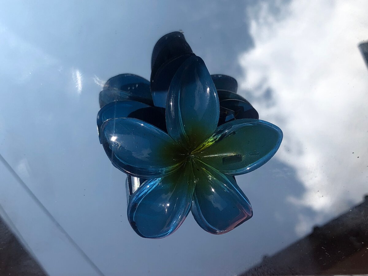 Barrette  + ÉLASTIQUES OFFERTS