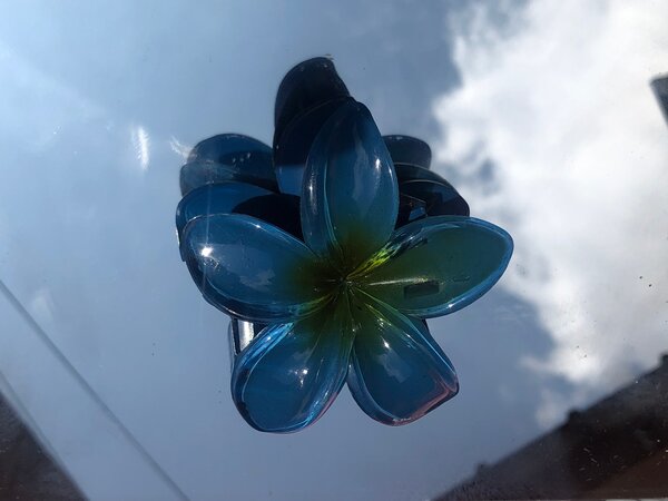 Barrette  + ÉLASTIQUES OFFERTS