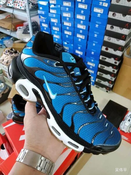 TN   Plus
