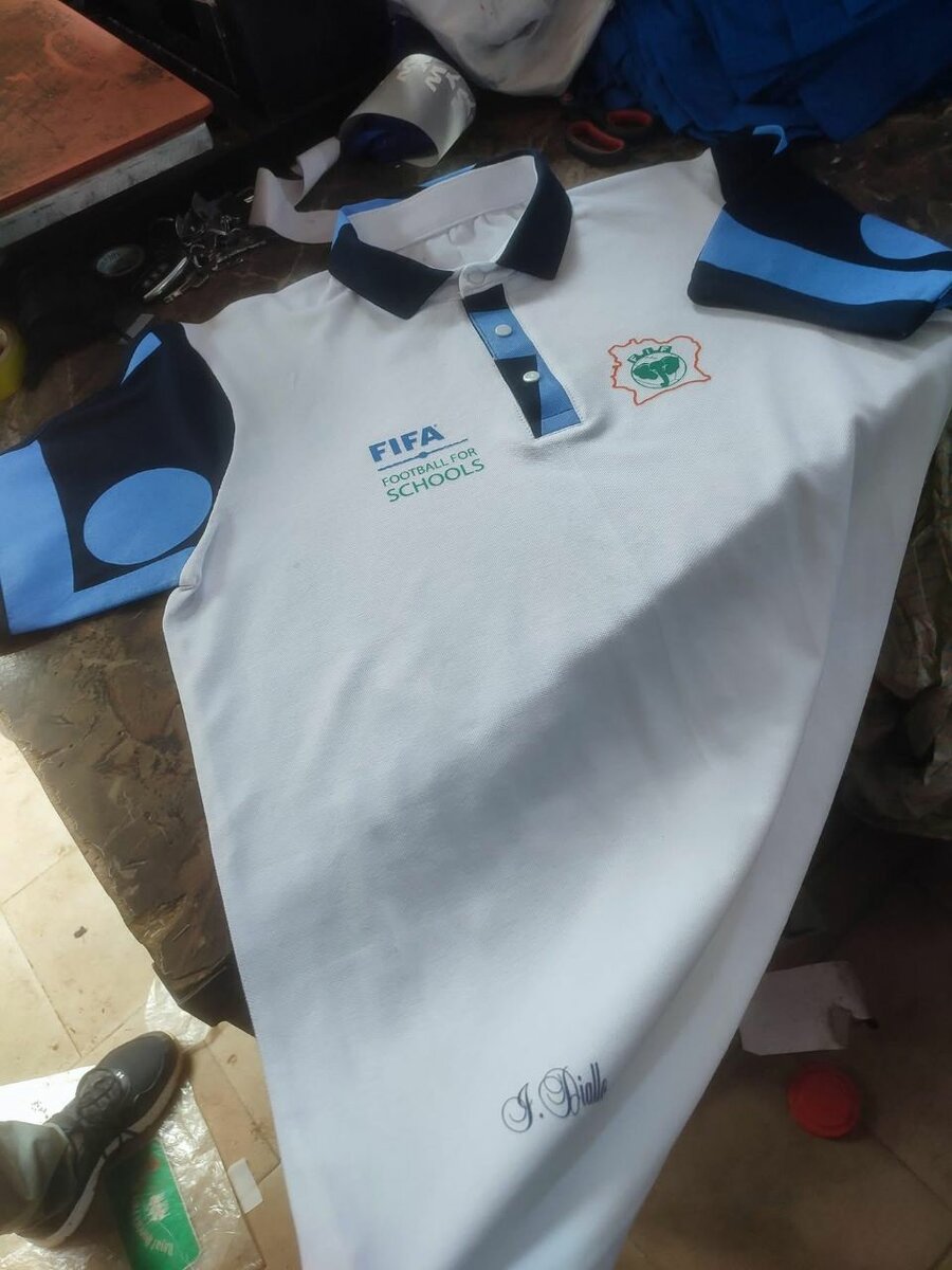 Polo élégant pour hommes