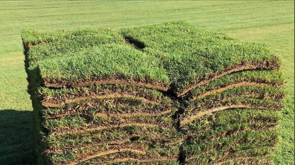 Natural Grass installation(Per square meter)
