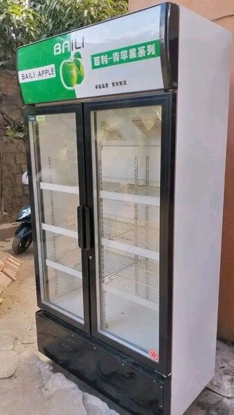 Congélateur Coffre Double Porte