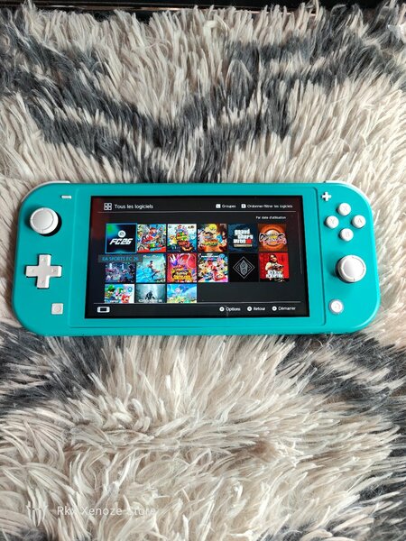 Nintendo Switch Lite Cracker