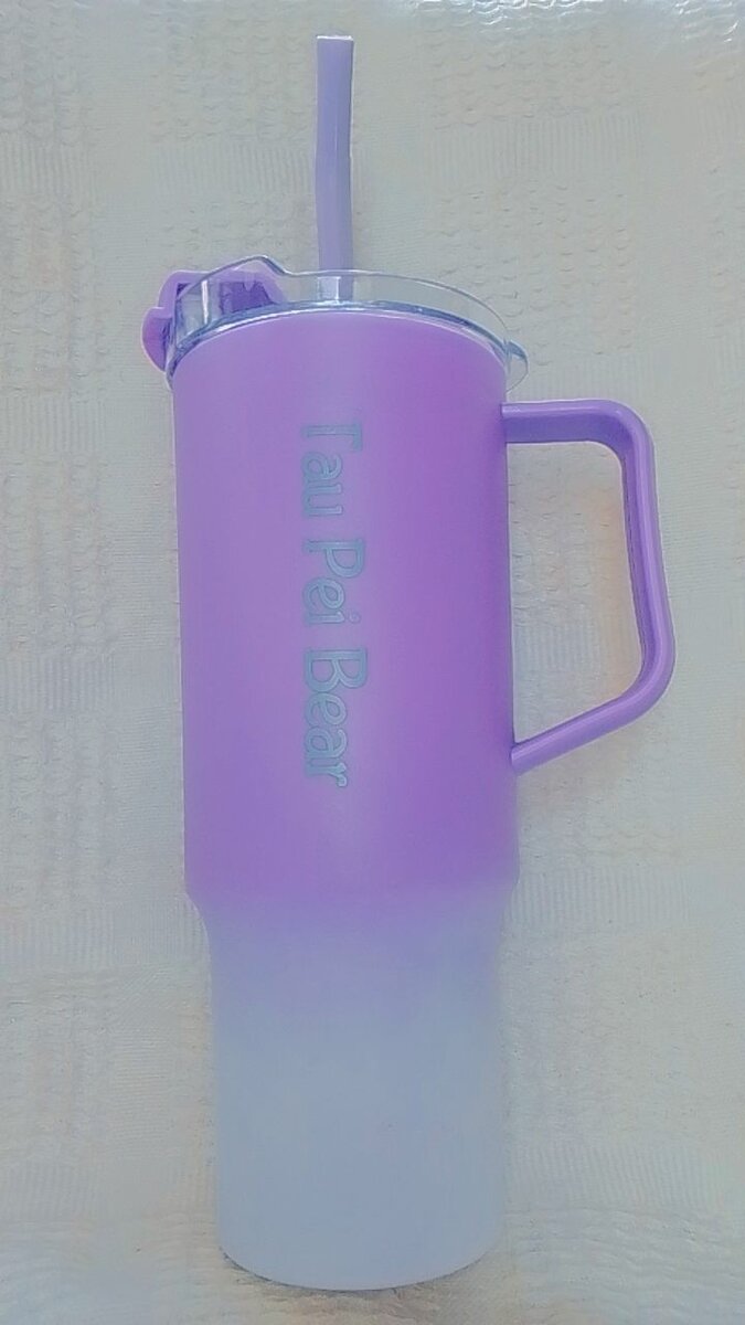 Bouteille Thermos Violet 500ml