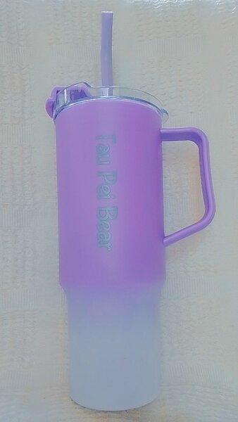 Bouteille Thermos Violet 500ml