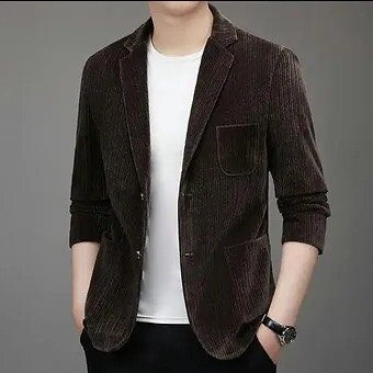 Blazer en Velours