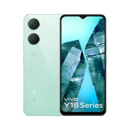 Vivo y 18