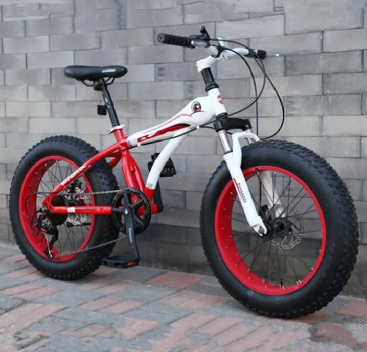 Vélo Fat Bike Adulte Tout-Terrain