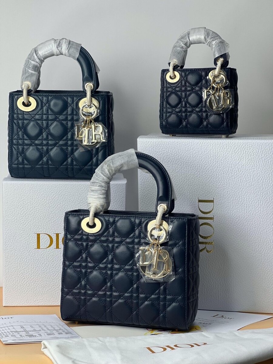 Sac à main élégant Dior