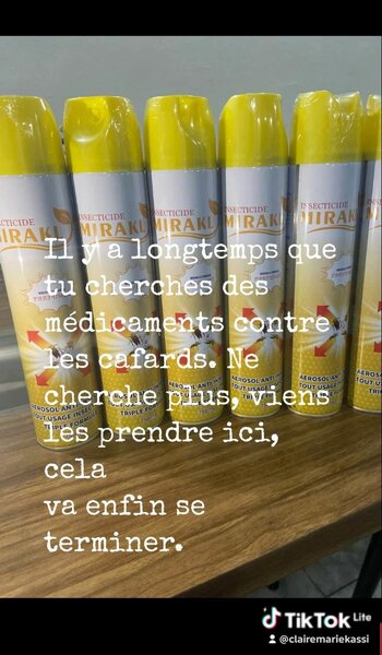 Spray insecticide anti-cafards