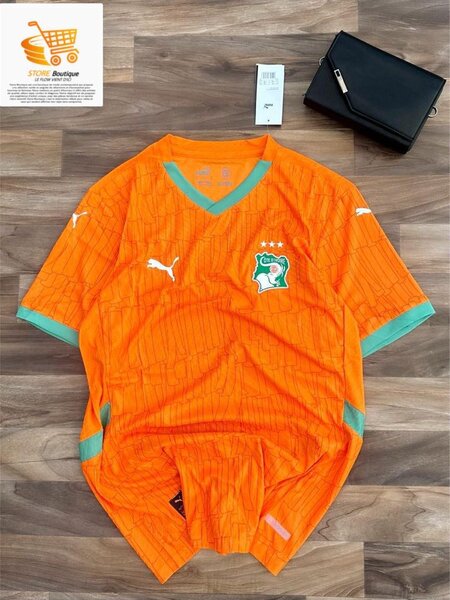 Maillot Côte d'Ivoire Puma