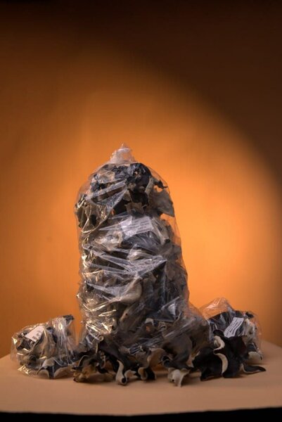 Champignons séchés premium