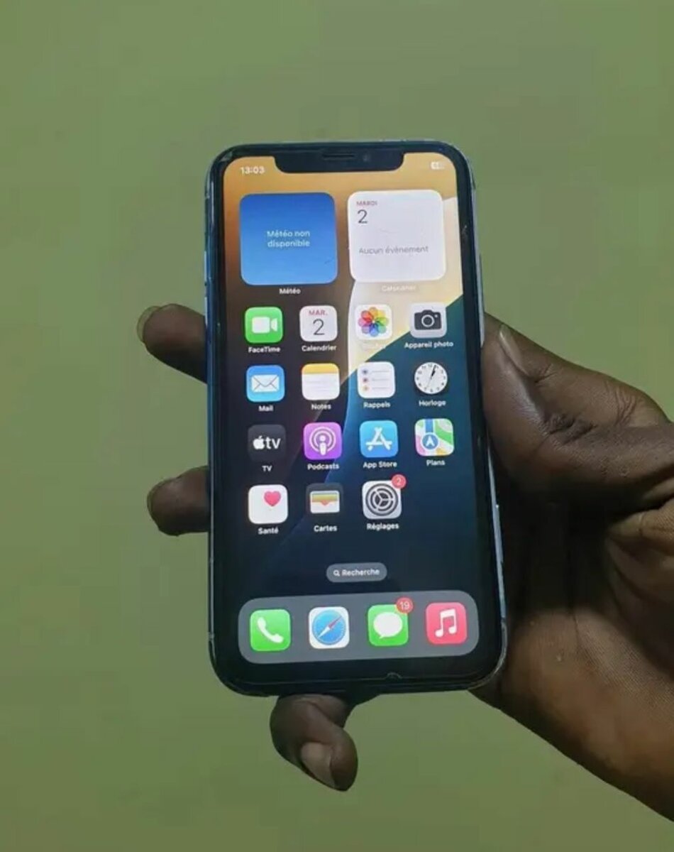 iPhone avec coque artistique