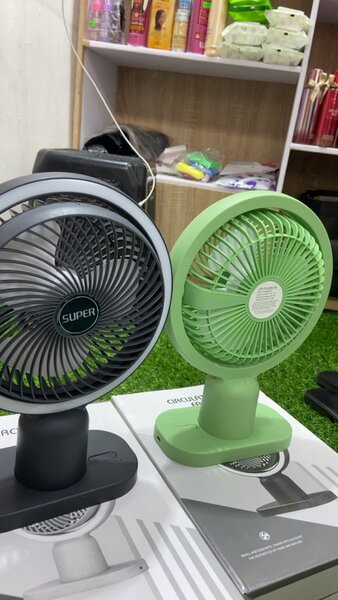 Circulating Fan