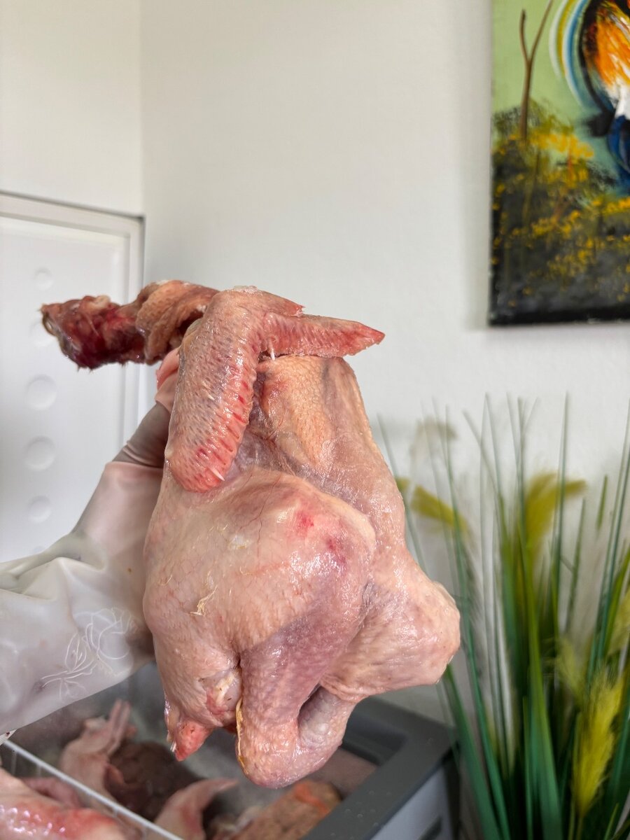 Poulet de chair halal