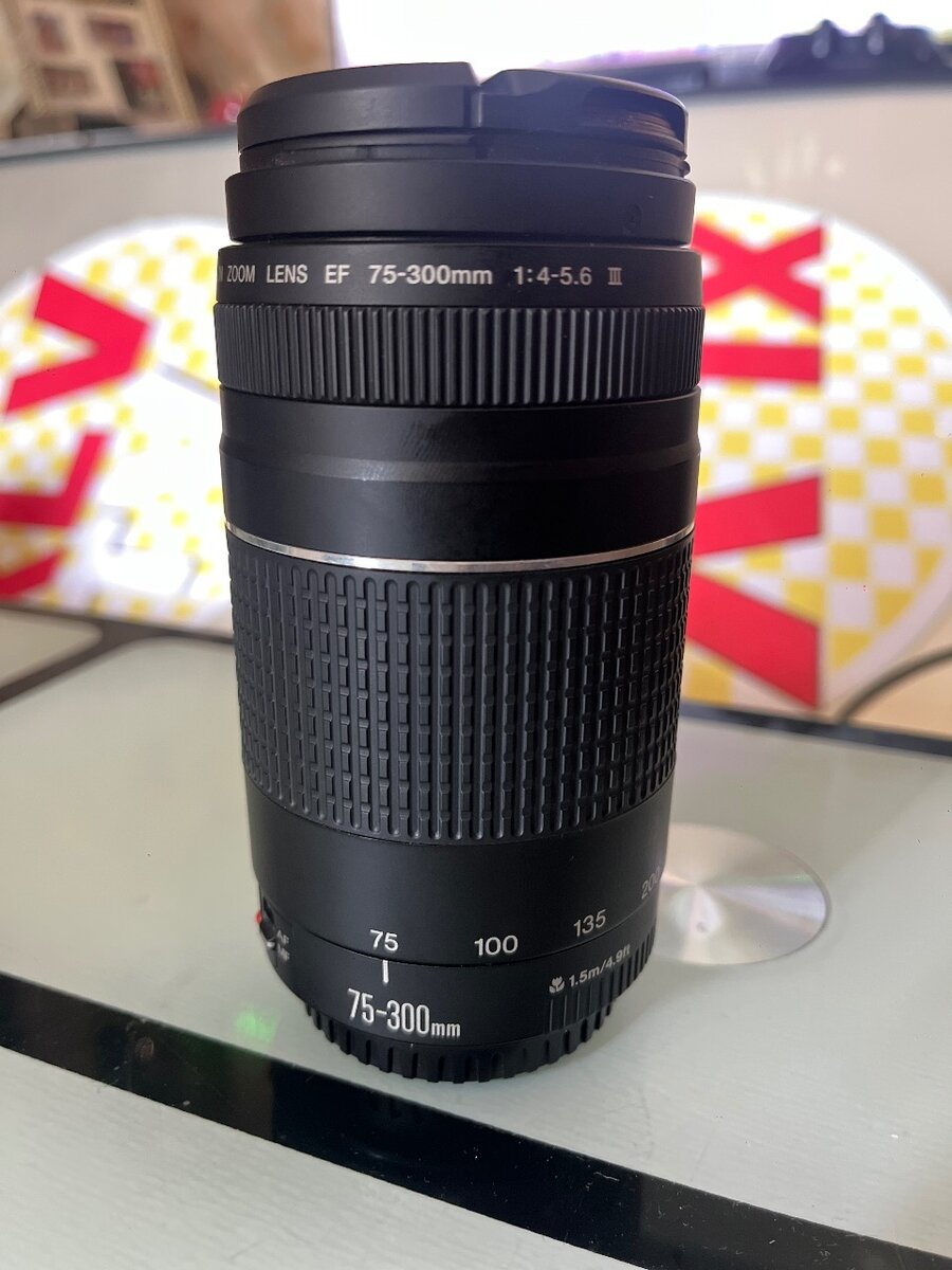 Objectif Canon EF 75-300mm