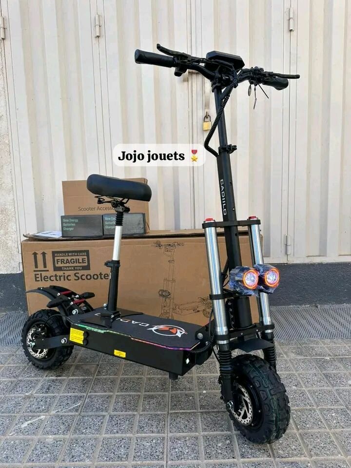 Trottinette Électrique Puissante