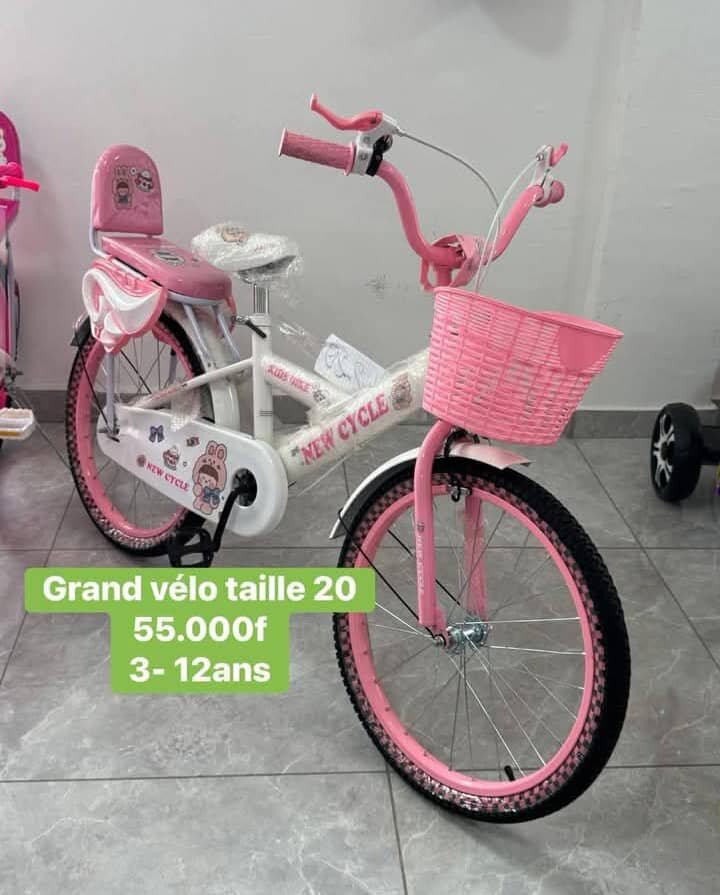 Vélo Enfant Rose 20 Pouces