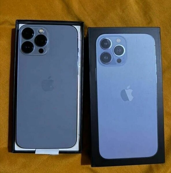 iPhone 13 Pro Max - 256Go