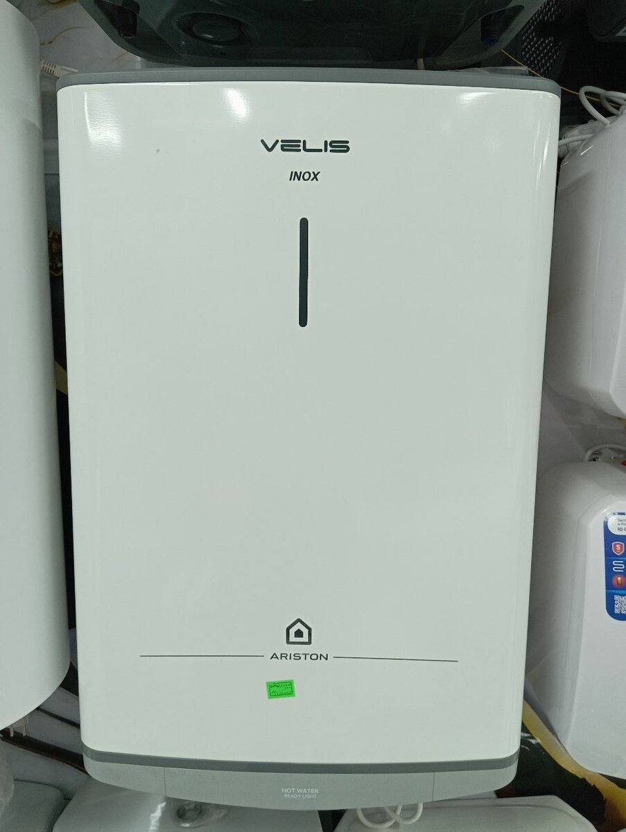 Аристон велис