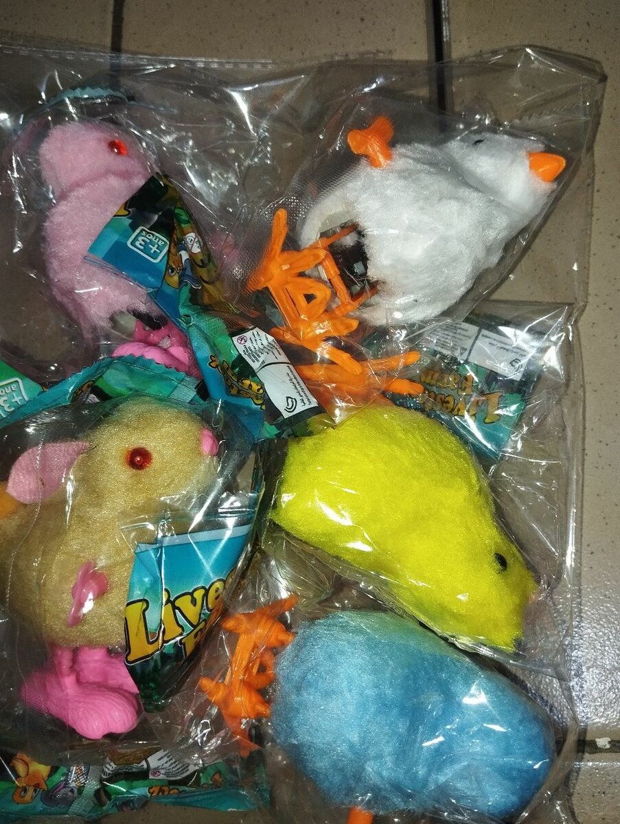 8 poussins jouets à 3.500FCFA