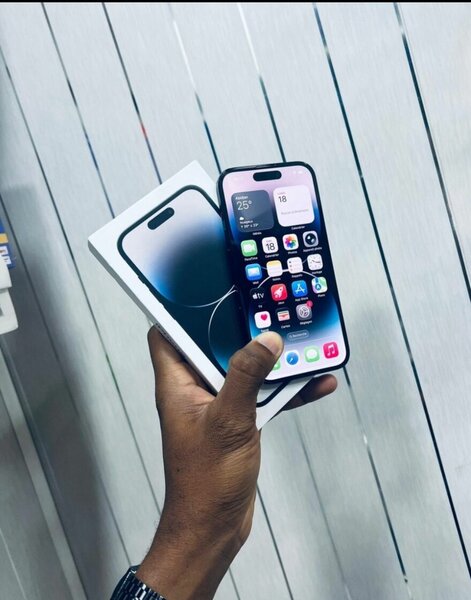 iPhone 14 Pro Max 256 Go