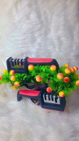 Aiguiseur de coûteau