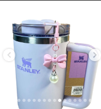 Stanley Cup Accessories