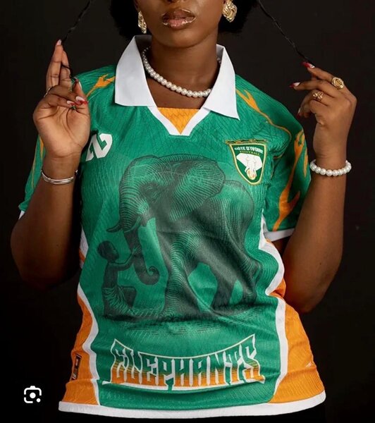 Maillot Équipe Éléphants