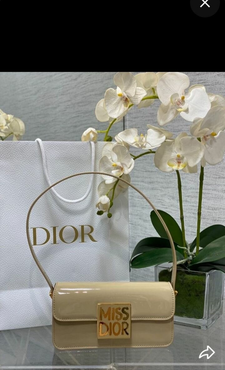 Sac Miss Dior élégant