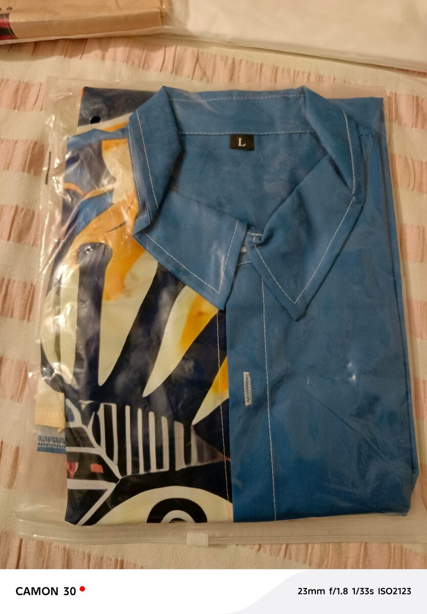 Chemise ethnique bleue