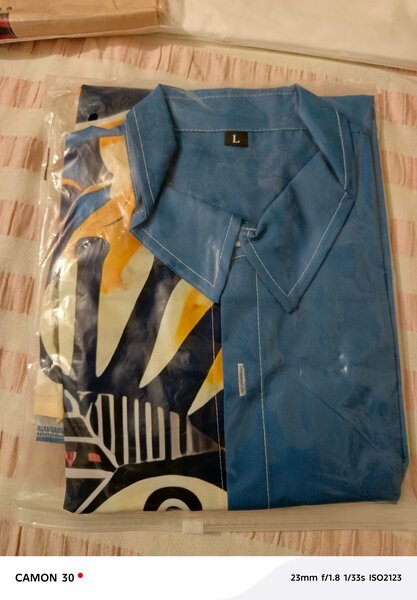 Chemise ethnique bleue