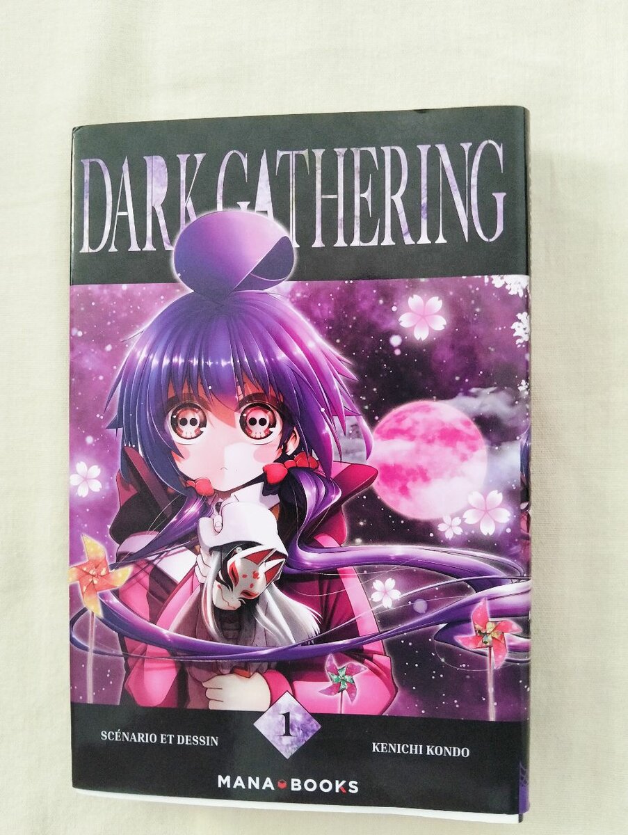 Dark gathering tome 1 dragon quest emblem of roto tome 2