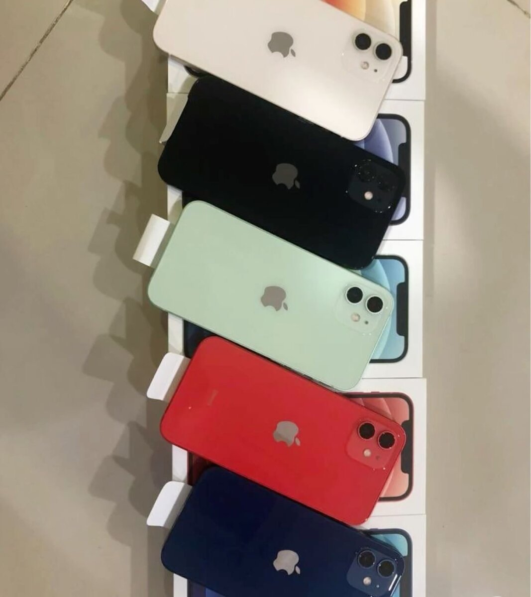 iPhone 11 - Choix Multicolore