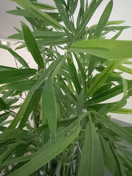 Tall Artificial Bamboo Plant