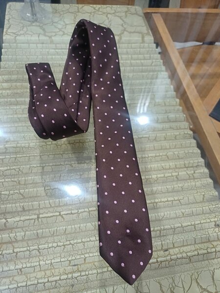 Cravates élégantes en soie