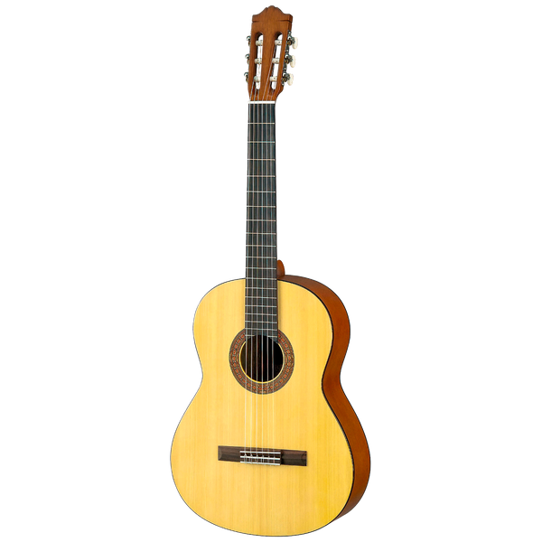 Guitare classique + accessoire