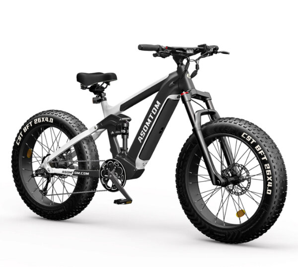 Vélo électrique tout-terrain