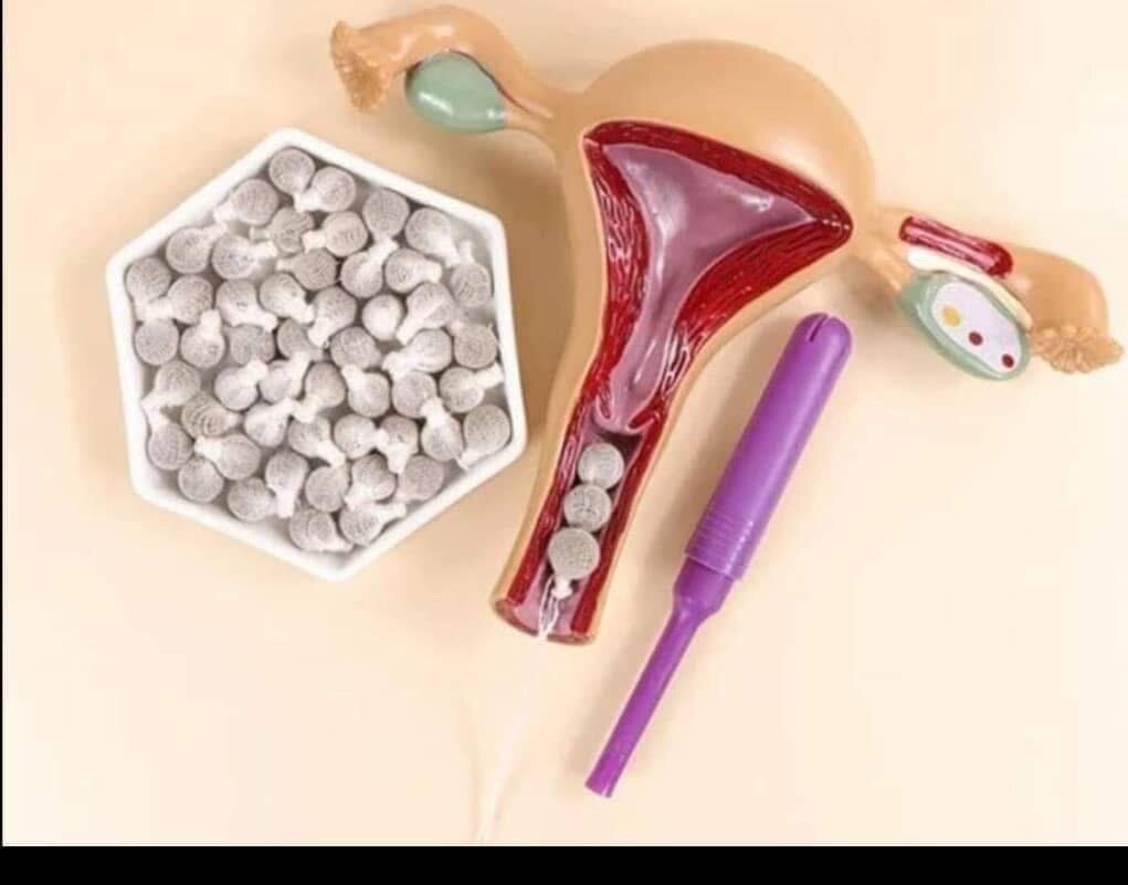 Perles Détox Naturelles 12