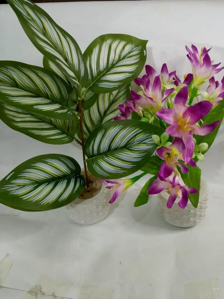 Mini Money And Lili Flower